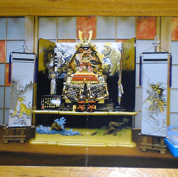 Samurai Suit That I Was Going To Buy